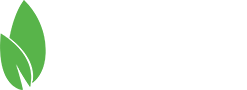Dynamic Consultant